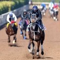 【フェブラリーＳ】「完璧」世界の坂井瑠星がほれ直した　ダブルハートボンド史上初の牝馬Ｖへ抜群の動き