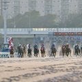【大井・雲取賞】1レース売得金レコード更新…坂井瑠リアライズグリントがV