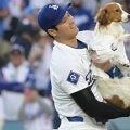 大谷翔平の愛犬がまさかの登場　同僚婚約者が投稿…明かされたお友達「bestie boys」