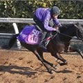【注目馬動向・３歳】アドマイヤシュラは忘れな草賞へ　フロムレイブンは浜中俊騎手で報知杯ＦＲへ
