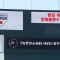 【侍ジャパン】WBC東京プールの日本戦４試合、一部の座席開放　２月27日に追加販売へ