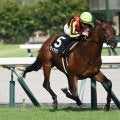 【阪急杯出走馬・騎手確定】ディアナザール＆団野大成騎手、マイネルチケット＆横山武史騎手など18頭