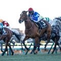【ダイヤモンドS出走馬・騎手確定】ホーエリート＆戸崎圭太騎手、スティンガーグラス＆C.ルメール騎手など15頭