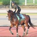 【注目馬動向】鳴尾記念Ｖのデビットバローズは岩田望来騎手で大阪杯　デアヴェローチェは酒井学騎手で報知杯ＦＲへ