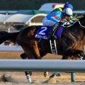 【フェブラリーS・調教後馬体重】ダブルハートボンドは484kg、コスタノヴァは492kg