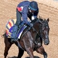 【フェブラリーＳ】芝重賞２勝馬が不気味な砂初参戦へ木曜追い　「昨年ぐらいから…」サクラトゥジュールの堀調教師
