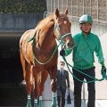 【注目馬動向】セントポーリア賞ＶのラストスマイルはスプリングＳへ　引き続き杉原誠人騎手