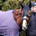 【岩田康誠の熱血！！競馬道】フェブラリーＳのオメガギネスは自分のリズムで運んでどこまで「はまった時の脚はＧ１級」