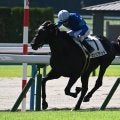 【小倉大賞典枠順確定】センツブラッドは6枠12番、ガイアメンテは7枠13番