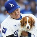 大谷翔平の愛犬デコピンに新たな友だち・オリーが登場　仲良さそうな様子にファンからも反響