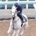 【注目馬動向】白毛馬アマンテビアンコが総武Ｓで１年１１か月ぶりに復帰へ　鞍上はルメール騎手