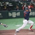 WBC強化試合にはサポートメンバー13名が参加！広島の若きスラッガーなどが選出