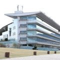 【阪神競馬・２１日の馬場】芝は傷んだ部分の張り替えとコース内側に洋芝の追加播種を実施し良好な状態　ダートは差し馬警戒