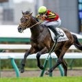 【ダイヤモンドS予想】特殊な条件で波乱の可能性も 長距離適性を重視
