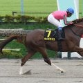 【競馬予想】群雄割拠のフェブラリーＳ　国内ダート頂上決戦に備えてきた実力馬たちを脅かす伏兵候補