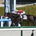 【阪神4R新馬戦結果】ルヴァンスレーヴ産駒エイコーンドリームが人気2頭の競り合いを制す