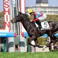 ５・２億円馬２戦目での勝利にネット歓喜「ダービー行けるか？」「菊花賞で見たい」　超高額馬のサガルマータ