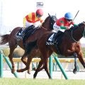 【フリージア賞】小柄な牝馬でもガッツあふれる走りでファムクラジューズがＶ　キング騎手「とてもタフ」