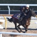 【フェブラリーＳ】初のＧ１挑戦ロードクロンヌ　関西馬で東京競馬場へ一番乗り　陣営「楽しみです」