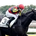 痛恨の発馬失敗で沈んだダービー馬の全弟に「新馬戦の再放送」「全然あかん」　大舞台が遠退くチャリングクロス