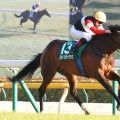 【ダイヤモンドＳ・レースメモ】ルメール騎手１８年フェイムゲーム以来通算３勝目
