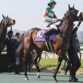 【競馬予想】フェブラリーＳは人気のダブルハートボンドが有力　同馬との組み合わせでも好配当が見込める穴馬２頭