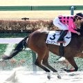 【東京３Ｒ】東京の３歳世代ラスト新馬戦は横山武史騎手とローズブーケが制する「内容のあるレース」