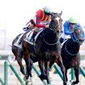 【東京５Ｒ】ゴーラッキーが３馬身半差の完勝で無傷２連勝　ルメール騎手「能力はありそう。楽しみ」
