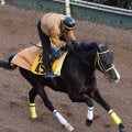日曜小倉競馬場の注目激走馬…小倉１１Ｒ小倉大賞典・Ｇ３