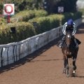 日曜東京競馬場の注目激走馬…東京１１Ｒフェブラリーステークス・Ｇ１