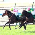 【小倉大賞典】２月２８日引退の藤岡佑介騎手は首差でラスト重賞逃す「悔いのないレースができて良かった」