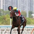 カーインライジングが香港競馬新記録の１８連勝を達成　１・４億円超ゲット！　香港・クイーンズシルバージュビリーＣ