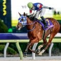 【浦和・ユングフラウ賞枠順】4連勝中のアンジュルナは8枠12番