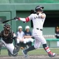 井端悩ます佐藤輝　侍初戦４番で３安打５打点　岡本、村上とのスタメン争い激化「打てば打つほど悩みますね」