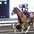 【高知・レジーナディンヴェルノ賞】大井ローリエフレイバーが重賞4勝目