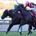 【オーシャンS登録馬】高松宮記念前哨戦にルガルなど18頭