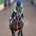 【チューリップ賞・松ケ下の特注馬】タイセイボーグの前走を評価　阪神ＪＦ３着と同舞台で重賞初制覇だ