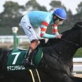 【先週のJRA抹消馬】重賞2勝のヤマニンサルバム、25年シルクロードS覇者のエイシンフェンサーなど