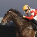 【かきつばた記念】ダノンフィーゴが3馬身差完勝…川田「ポテンシャルで勝ち切ってくれた」