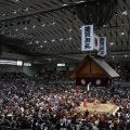 【春場所新番付】村山→豪欧勝、貴正道→尼王、若神→鶴の里、林龍→御柱／改名力士一覧