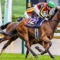 【中山記念】11年ぶりの牝馬Vなるか 二冠牝馬のチェルヴィニアが復活期す