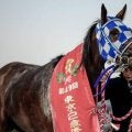 【浦和・ユングフラウ賞注目馬】南関東牝馬三冠の前哨戦 桜舞台への切符を手にするのは
