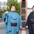 藤青雲＆藤凌駕が同部屋から15年ぶり同時新入幕　道のり対照的も共に目指すは将来の「三役」