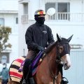 【中山記念】一昨年の２冠牝馬チェルヴィニアが軽快デモ　陣営「日に日に毛づやも良くなって良化傾向」