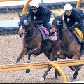 【チューリップ賞】３連勝で桜の女王候補に名乗り挙げる！ソルパッサーレ　浜中俊騎手「いい結果を出してクラシックへ」