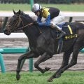 【中山記念】ディープインパクト産駒が17年連続のJRA重賞制覇へ 良血サイルーンが一発狙う