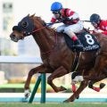 【オーシャンS】レース史上最高齢Vへ ウイングレイテストが2年4カ月ぶりの重賞2勝目狙う