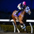 【浦和・ユングフラウ賞結果】断然人気に応えてアンジュルナが6馬身差圧勝！5連勝で重賞3連勝