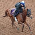 【中山記念】復調の兆し見せたシャンパンカラー　最終追い切りに岩田康誠騎手が好感触「前回よりもっといい」