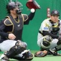 阪神・嶋村　異例の育成選手ＭＶＰ　藤川監督「姿勢」を評価　伏見、梅野、坂本らから学び多く「勉強になった」